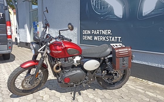 Gebrauchtmotorrad Triumph Scrambler 900 - Bild 5