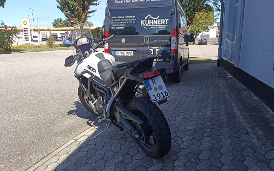 Gebrauchtmotorrad Triumph Tiger 900 GT Pro - Bild 3