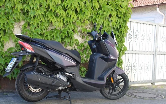Gebrauchtmotorrad Sym Joyride 300 - Bild 2