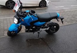 Neumotorrad Honda MSX 125