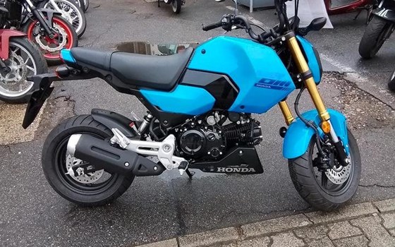 Neufahrzeug Honda MSX 125 - Bild 2