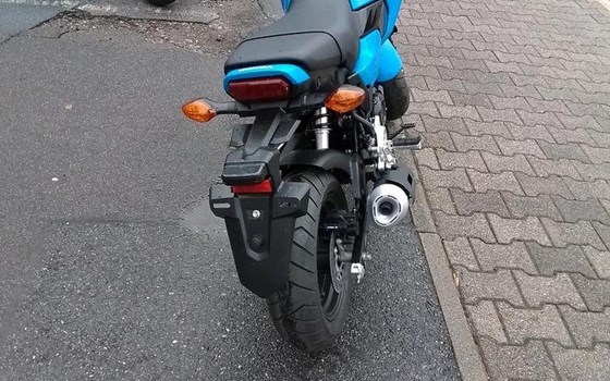 Neufahrzeug Honda MSX 125 - Bild 4
