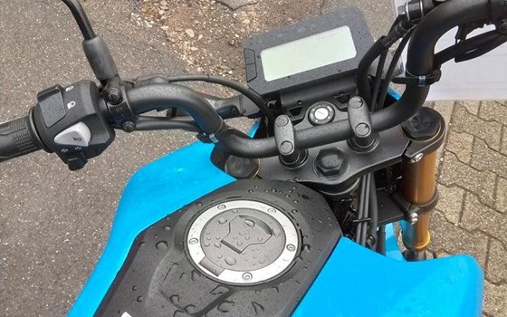 Neufahrzeug Honda MSX 125 - Bild 5