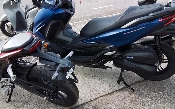 Neufahrzeug Honda Forza 125 - Bild 4