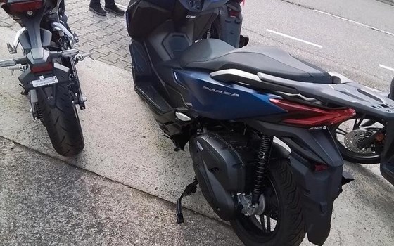 Neufahrzeug Honda Forza 125 - Bild 5