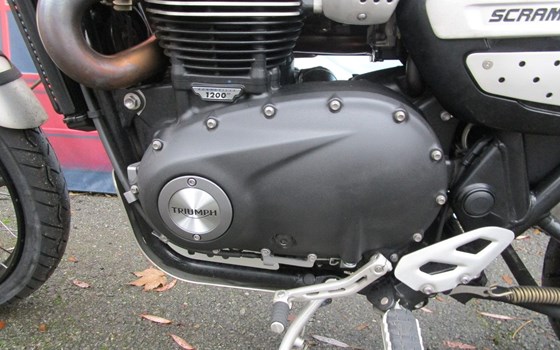 Gebrauchtmotorrad Triumph Scrambler 1200 XE - Bild 4