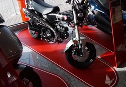 Neumotorrad Honda Dax 125