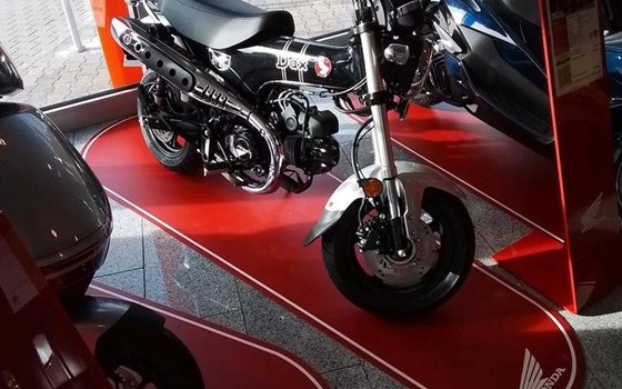 Neufahrzeug Honda Dax 125 - Bild 1