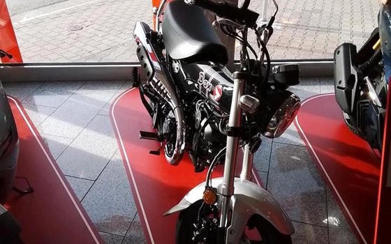 Neufahrzeug Honda Dax 125 - Bild 2