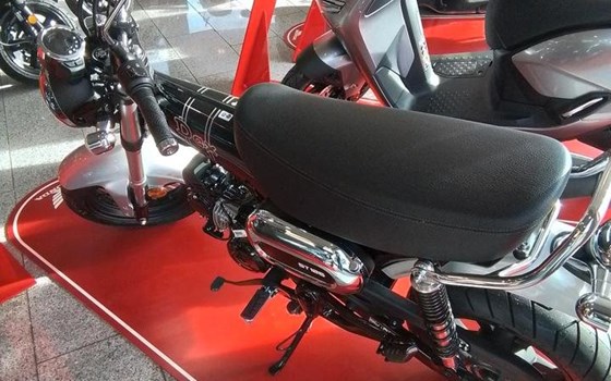Neufahrzeug Honda Dax 125 - Bild 3