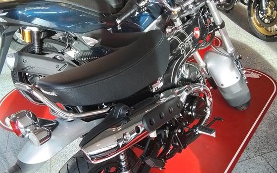 Neufahrzeug Honda Dax 125 - Bild 5