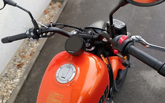 Neufahrzeug QJ Motor SRV12 - Bild 7