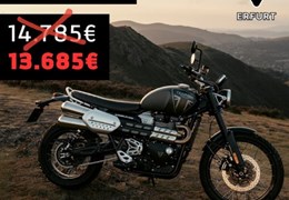 Neumotorrad Triumph Scrambler 1200 X