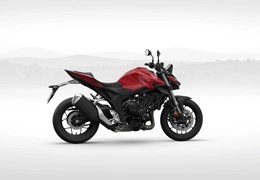 Neumotorrad Honda CB1000 Hornet