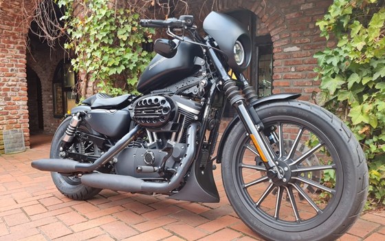 Gebrauchtmotorrad Harley-Davidson Sportster XL 883 N Iron - Bild 1