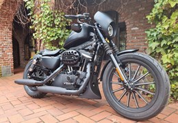 Gebrauchte Harley-Davidson Sportster XL 883 N Iron