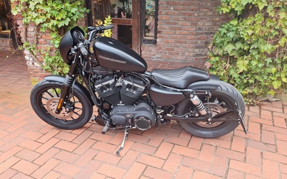 Gebrauchtmotorrad Harley-Davidson Sportster XL 883 N Iron - Bild 10