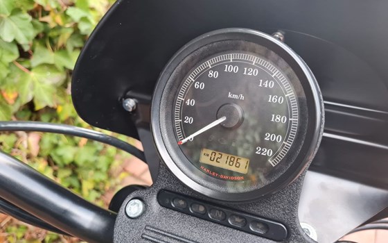 Gebrauchtmotorrad Harley-Davidson Sportster XL 883 N Iron - Bild 13