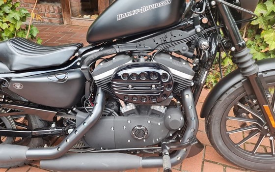 Gebrauchtmotorrad Harley-Davidson Sportster XL 883 N Iron - Bild 14