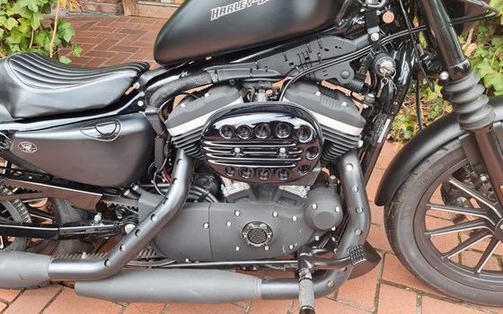 Gebrauchtmotorrad Harley-Davidson Sportster XL 883 N Iron - Bild 16