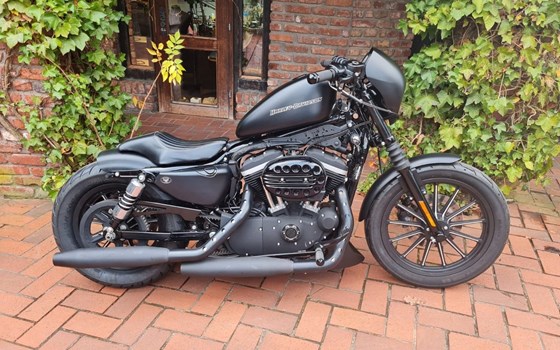 Gebrauchtmotorrad Harley-Davidson Sportster XL 883 N Iron - Bild 2