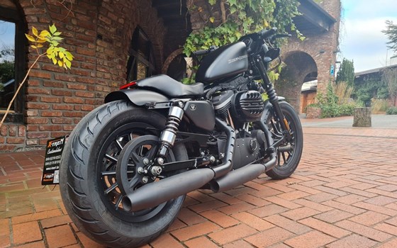 Gebrauchtmotorrad Harley-Davidson Sportster XL 883 N Iron - Bild 3