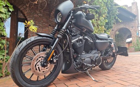 Gebrauchtmotorrad Harley-Davidson Sportster XL 883 N Iron - Bild 4
