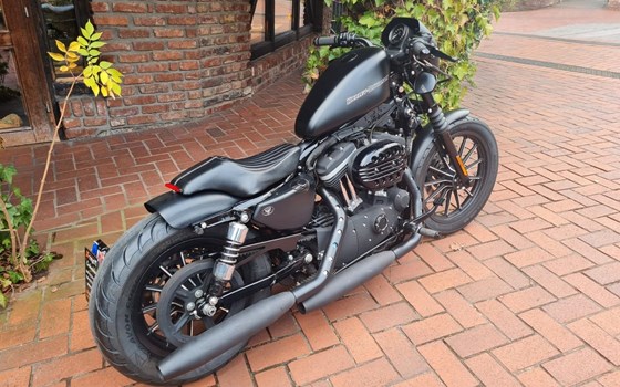 Gebrauchtmotorrad Harley-Davidson Sportster XL 883 N Iron - Bild 7