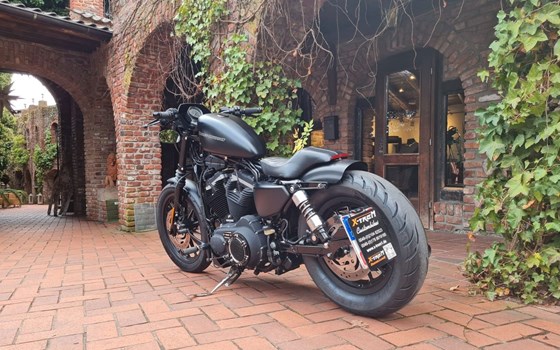 Gebrauchtmotorrad Harley-Davidson Sportster XL 883 N Iron - Bild 8