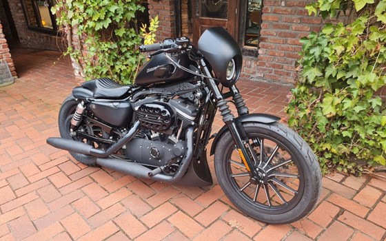 Gebrauchtmotorrad Harley-Davidson Sportster XL 883 N Iron - Bild 9