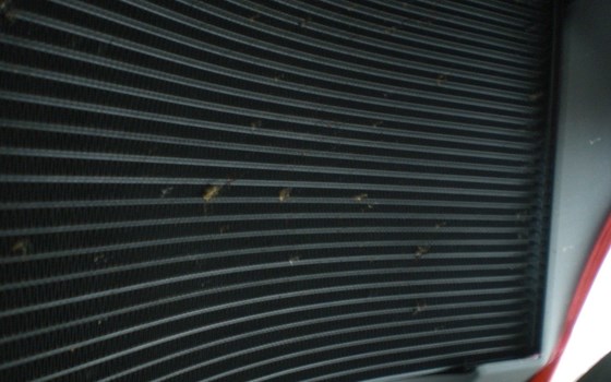 Gebrauchtmotorrad Ducati Panigale V2 S - Bild 18