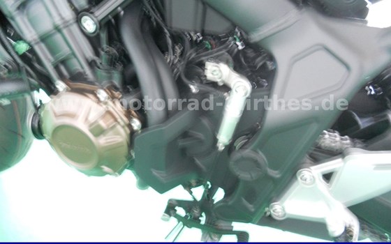 Neufahrzeug Honda CB650R E-Clutch - Bild 15
