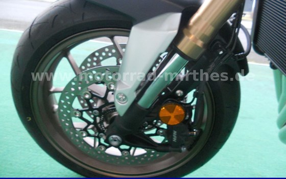 Neufahrzeug Honda CB650R E-Clutch - Bild 18