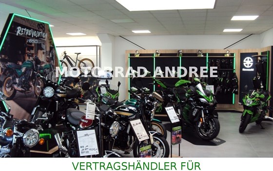 Gebrauchtmotorrad Kawasaki W800 - Bild 12