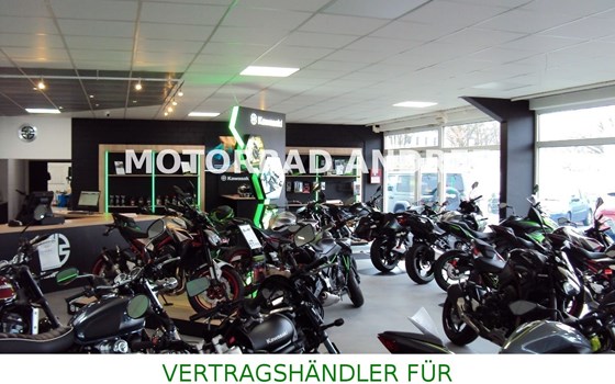 Gebrauchtmotorrad Kawasaki W800 - Bild 13
