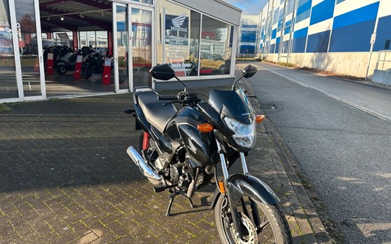 Gebrauchtmotorrad Honda CB125F - Bild 2