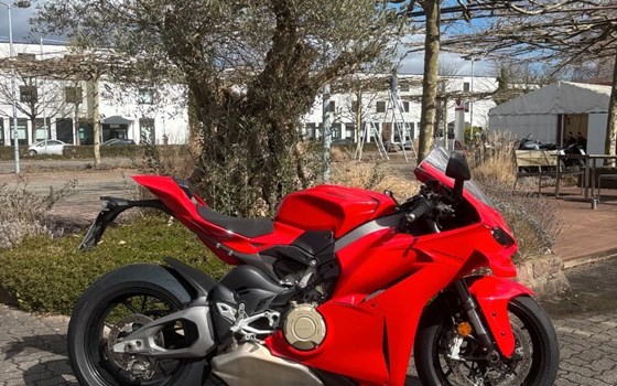 Gebrauchtmotorrad Ducati Panigale V4 - Bild 1