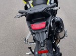 Angebot Triumph Tiger 900 Rally Pro