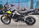 Angebot Triumph Tiger 900 Rally Pro