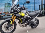 Angebot Triumph Tiger 900 Rally Pro