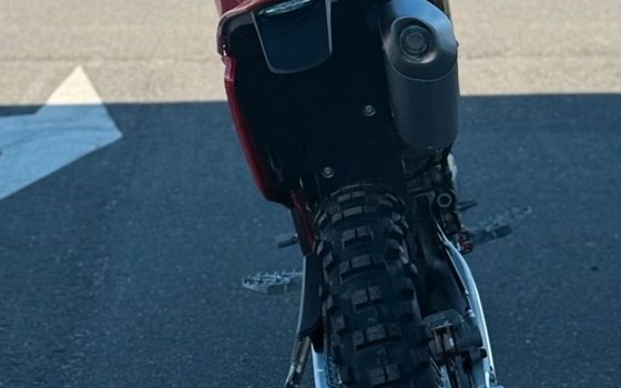 Neufahrzeug GASGAS EC 350F - Bild 4