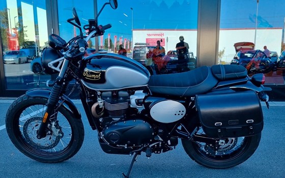 Gebrauchtmotorrad Triumph Scrambler 900 - Bild 2
