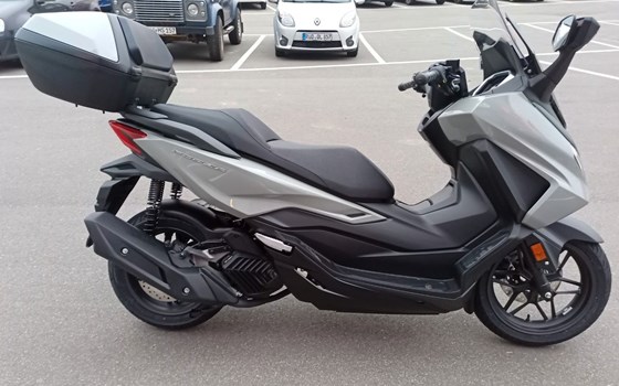 Gebrauchtmotorrad Honda Forza 125 - Bild 2