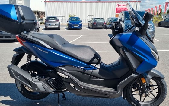 Neufahrzeug Honda Forza 125 - Bild 7
