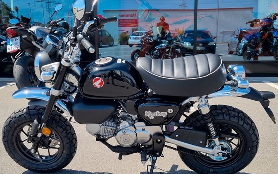 Neufahrzeug Honda Monkey 125 - Bild 6