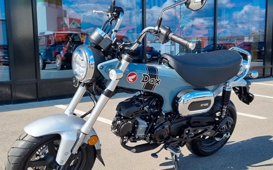 Neufahrzeug Honda Dax 125 - Bild 6