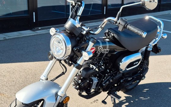 Neufahrzeug Honda Dax 125 - Bild 7