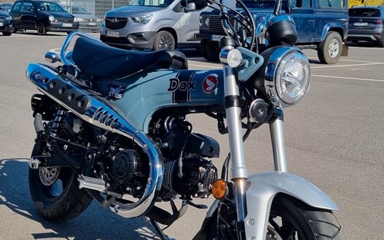 Neufahrzeug Honda Dax 125 - Bild 8