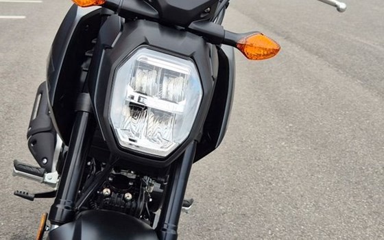 Neufahrzeug Honda MSX125 Grom - Bild 15