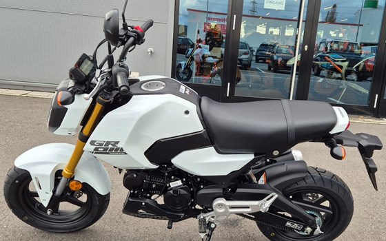 Neufahrzeug Honda MSX125 Grom - Bild 4